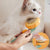 Cat Brush Comb Pet Pumpkin Comb For Cats Dog