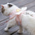 Cat Dog Harness Necklace Leash Collar Pet