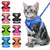 Cat Harness Adjustable Vest Walking Lead