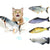 Cat Toys Electric Fish With USB Charging