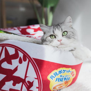 Pet Products Cat Winter Tent Funny Noodles