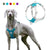Pet Dog Harness Vest Training Harness Collar