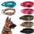 Durable Tactical Dog Collar Leash Set Military