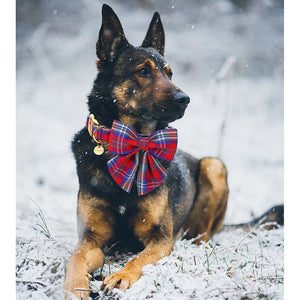 Unique Style Paws Christmas Cotton Dog Collar