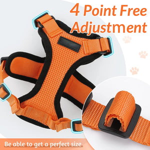 Cat Harness And Leash For Walking Good Quality