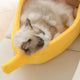 Banana Cat Bed