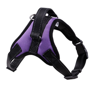 Ultimate Comfort Dog Harness: Customizable Fit for Optimal Adventures