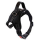 Ultimate Comfort Dog Harness: Customizable Fit for Optimal Adventures