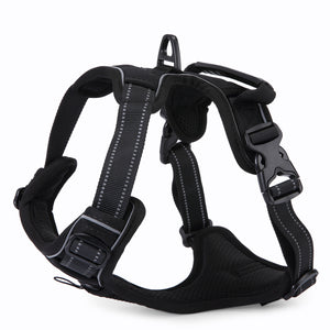 Adjustable Dog Harness Tag Vest Leash