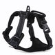 Adjustable Dog Harness Tag Vest Leash