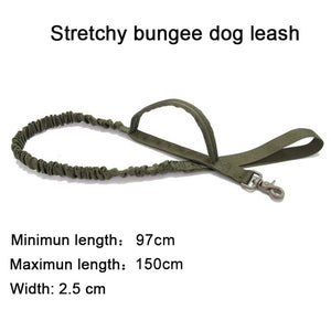 Tactical Training Duo: Military Dog Collar and Leash Training Set