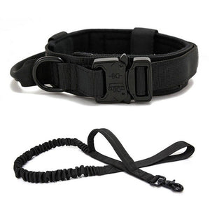 Tactical Training Duo: Military Dog Collar and Leash Training Set