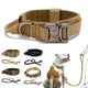 Tactical Training Duo: Military Dog Collar and Leash Training Set