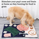 Snuffle Mat for Dogs Interactive Feed Game