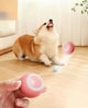 Auto Interactive Dog Ball Toy Electric