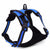 Adjustable Dog Harness Tag Vest Leash