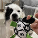 Interactive Dog Football Inflated Training Toy