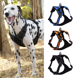 Adjustable Dog Harness Tag Vest Leash