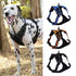 Adjustable Dog Harness Tag Vest Leash