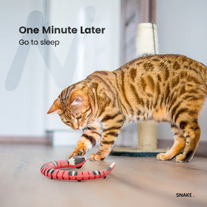 Smart Sensing Snake Cat Toys Electric Interactive
