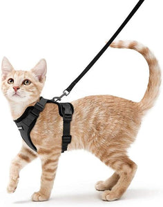 Cat Harness And Leash For Walking Good Quality