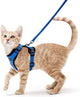 Cat Harness And Leash For Walking Good Quality