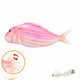 Cat Toys Electric Fish With USB Charging