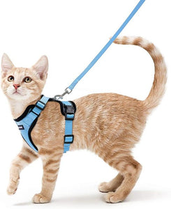 Cat Harness And Leash For Walking Good Quality