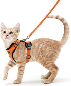 Cat Harness And Leash For Walking Good Quality