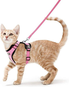 Cat Harness And Leash For Walking Good Quality