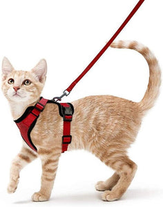 Cat Harness And Leash For Walking Good Quality