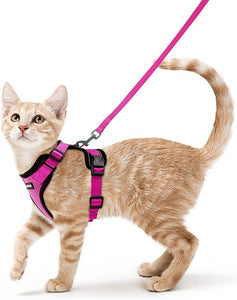 Cat Harness And Leash For Walking Good Quality