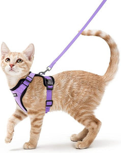 Cat Harness And Leash For Walking Good Quality